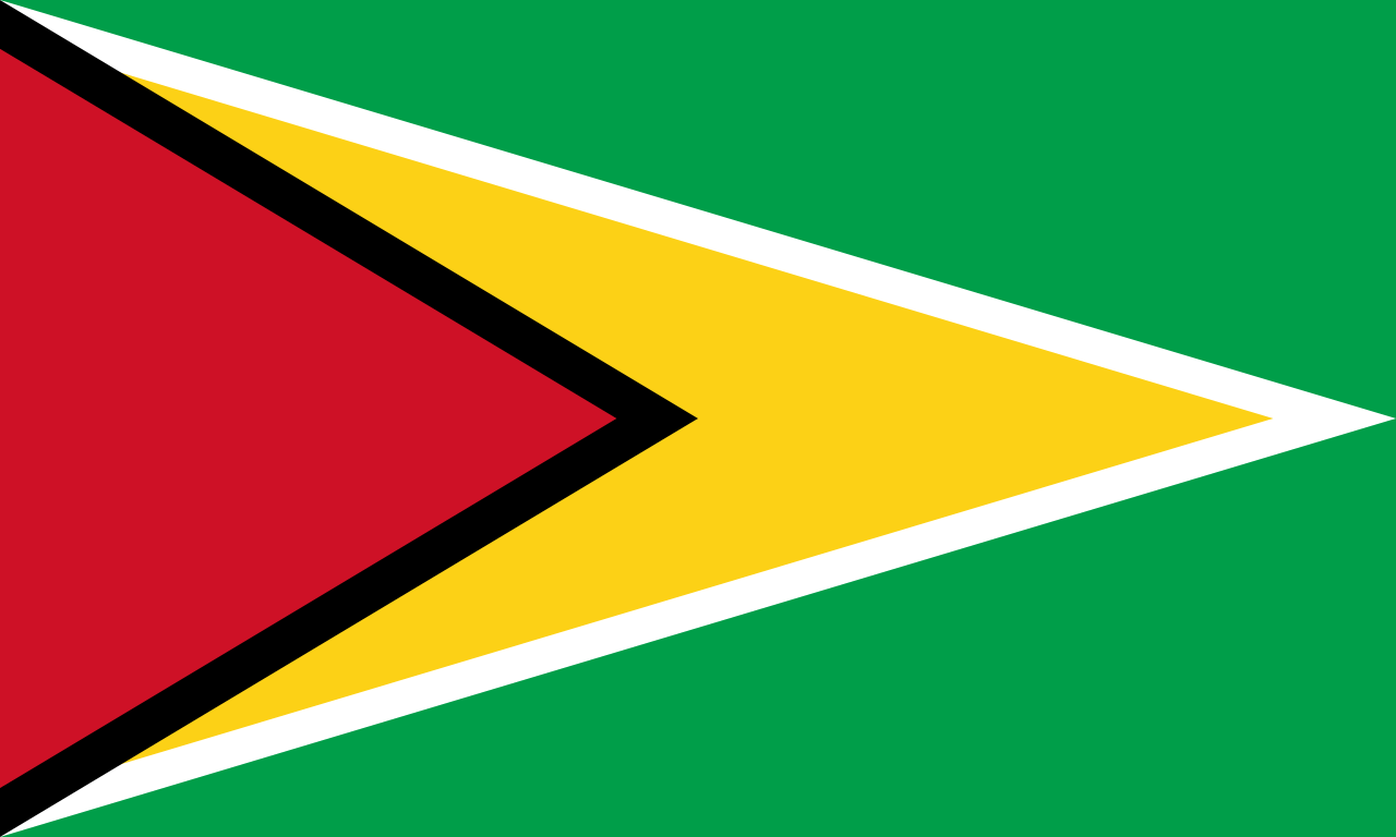 Guyana Flag
